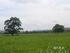 s_PICT0555_thumb.png